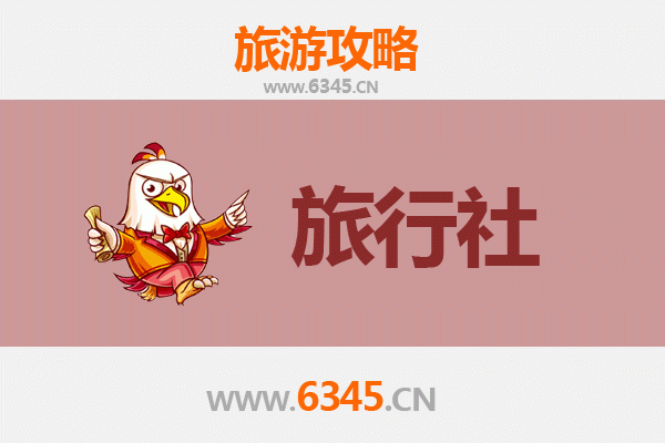 哈尔滨香坊区旅行社全攻略：本地人推荐的靠谱选择与深度游指南